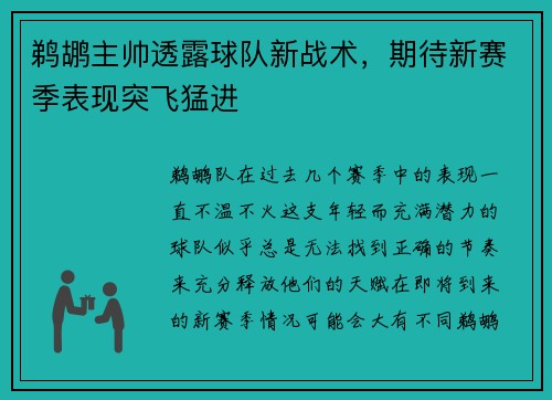 鹈鹕主帅透露球队新战术，期待新赛季表现突飞猛进